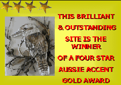 4 Star Gold Award